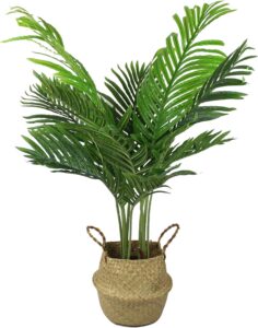 Artificial Areca Palm