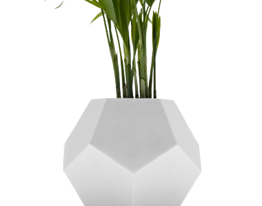 Plante flottante