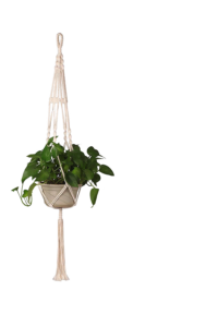 Macramé Plant Hangers