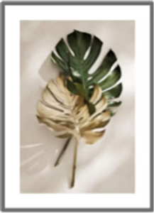 Monstera Plant Poster