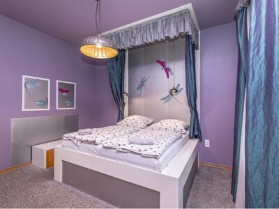Appartement 1 chambre