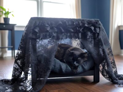 Lit baldaquin gothique pour chien et chat – style romantique noir original