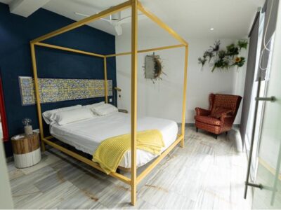 Appartement 1 chambre
