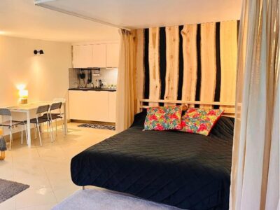 Appartement 1 chambre
