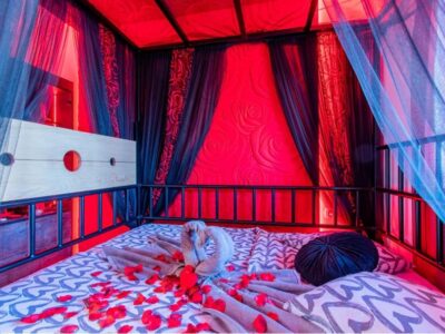 Appartement 1 chambre