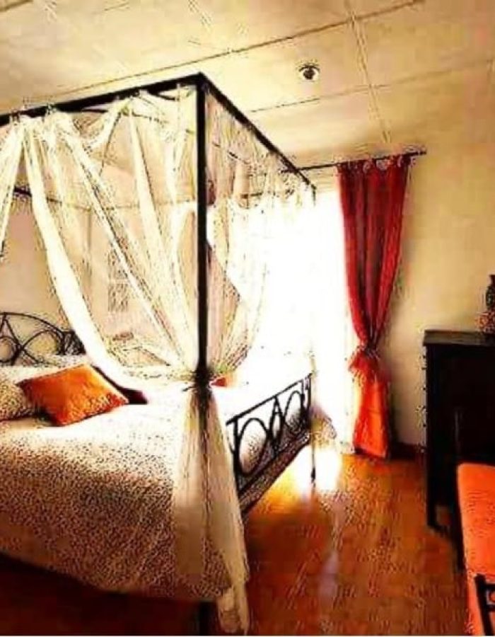 Appartement 1 chambre