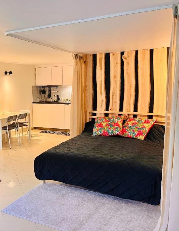 Appartement 1 chambre